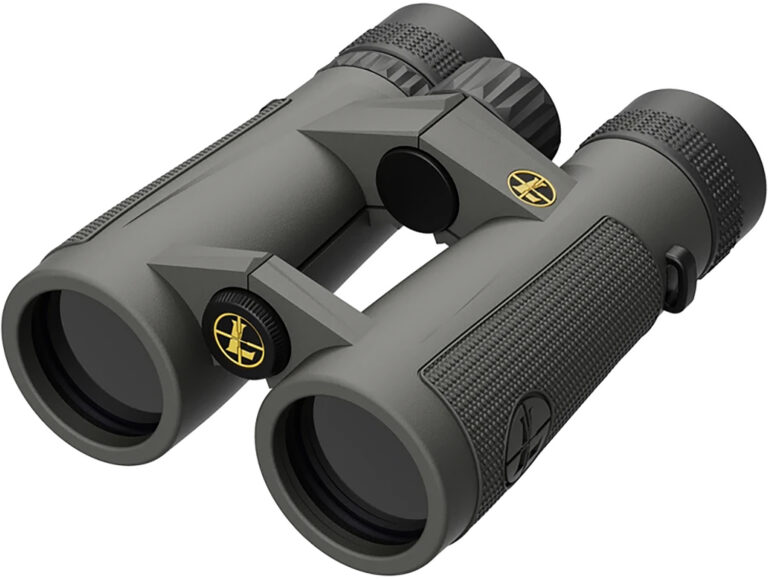Leupold 174483 BX-5 Santiam HD 10x 42mm Roof Prism Shadow Gray Armor Coated