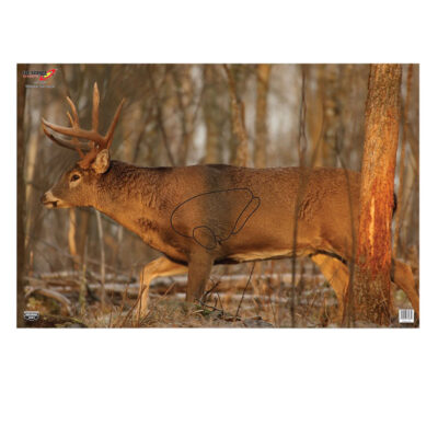 Birchwood Casey 37481 EZE-Scorer  Whitetail Deer Paper Hanging 23″ x 35″ Multi-Color 2 Per Pkg