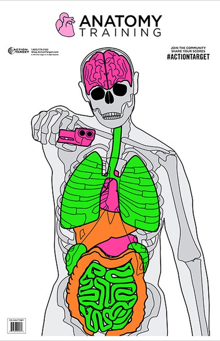 ACTION TGT ANATOMY TRNG 100PK