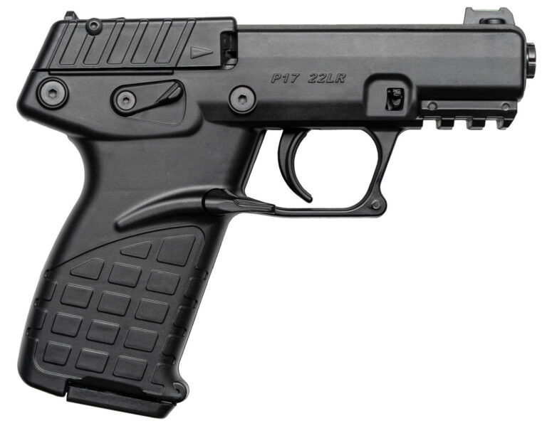 P17 .22LR BLACK 17RD 3.93" BBL 16 RD MAG