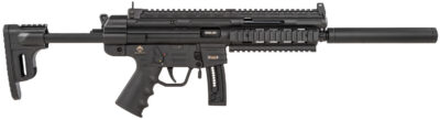 GSG GSGGERGGSG1610 GSG-16 *CA Compliant Full Size 22 LR 10+1 16.25″ Black Black Polymer Receiver Black Collapsible w/Storage Compartment Stock Right Hand