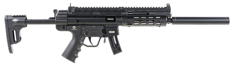 GSG GERGGSG1610ML GSG-16 Full Size 22 LR 10+1 16.25" Black Black Polymer Receiver Black Collapsible w/Storage Compartment Stock Right Hand