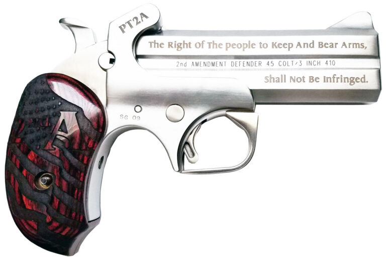 Bond Arms PT2A Protect the 2nd Amendment 38 Special,357 Mag 4.25" 2 Round Stain