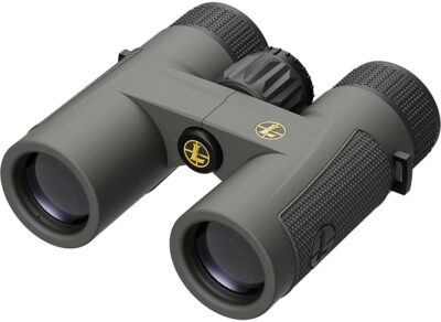 Leupold 172660 BX-4 Pro Guide  HD 10x32mm Roof Prism Shadow Gray Armor Coated