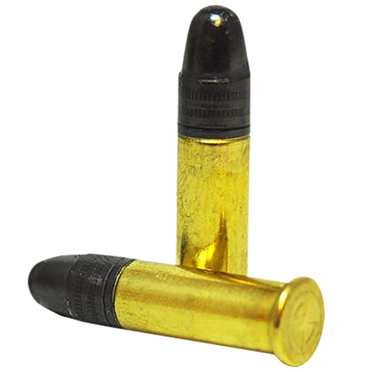 SK, 420101, 22lr, standard plus, 40gr 50