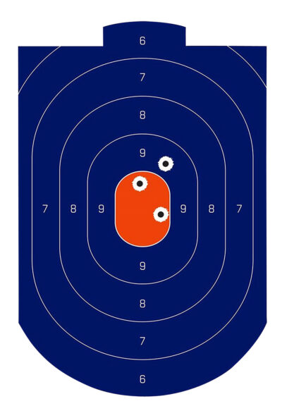 Birchwood Casey 35714 Dirty Bird Silhouette Target Silhouette Tagboard Target 12″ x 18″ 100 Per Pkg