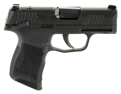 P365-380 380 ACP SEMI-AUTO HANDGUN P365-380 MICRO-COMP 380 ACP 3.1” BBL (2)10RD MS STRIKER BLK