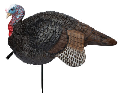 Primos 69074 Lil’ Gobstopper Jake Turkey Species Multi Color