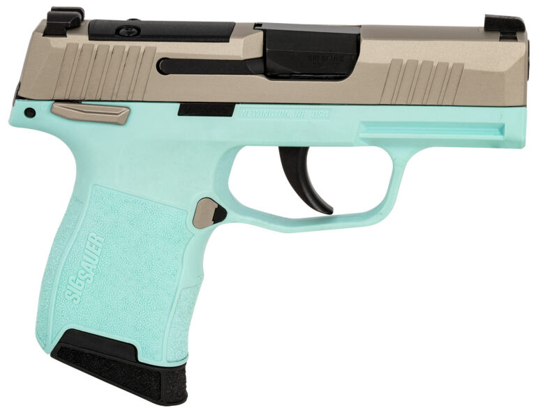 P365-380 380 ACP SEMI-AUTO HANDGUN P365-380 MICRO-COMP 380 ACP 3.1'' BBL (2)10RD MS STRIKER RBEB