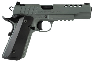 Tisas 10100512 1911 Night Stalker Full Size 45 ACP 8+1 5″ Black Steel Ramped Barrel, Platinum Grey Cerakote Ported/Serrated Slide & Frame w/Picatinny Rail & Beavertail, Ambidextrous