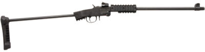 CHIAPPA LITTLE BADGER TAKE DOWN EXTREME16.5″  22LR