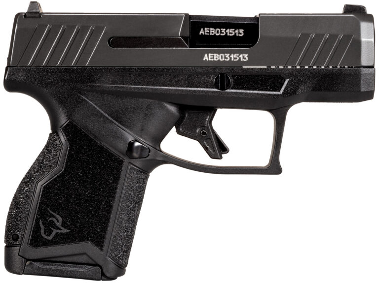Taurus 1GX4M93GR10 GX4 Micro-Compact 9mm Luger 10+1 3.06" Black Steel Barrel/Gray Serrated Slide/ Gray Stainless Steel Frame/ Black Polymer w/Interchangeable Backstrap Grips Right Hand