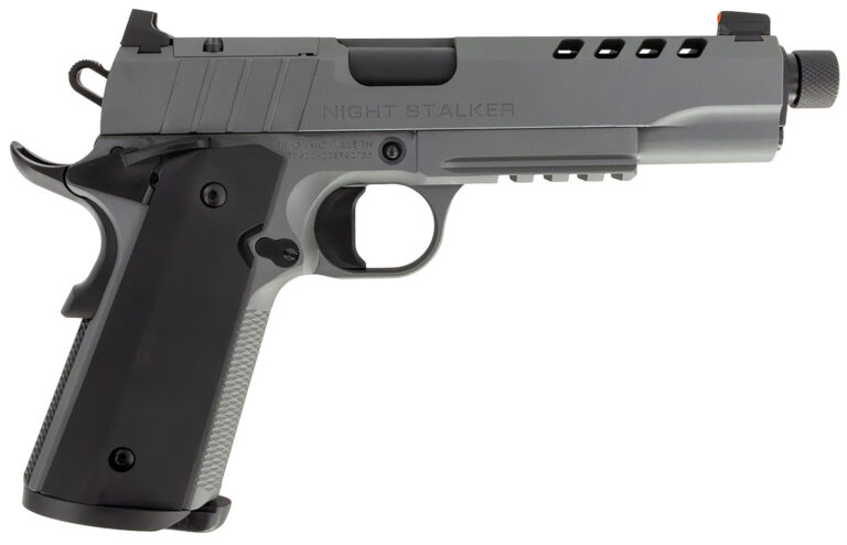 TISAS 1911 NIGHT STALKER SF 45ACP 5 TB GREY 2 8R