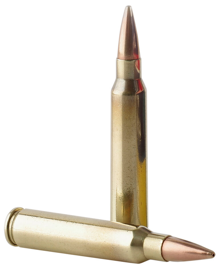 TR&Z PPMK223 Supreme Line 223 Rem 69 gr Sierra MatchKing BTHP 20 Per Box/ 10 Case
