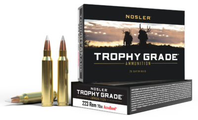 Nosler 61036 Match Grade  223Rem 70gr Soft Point 20 Per Box/20 Case