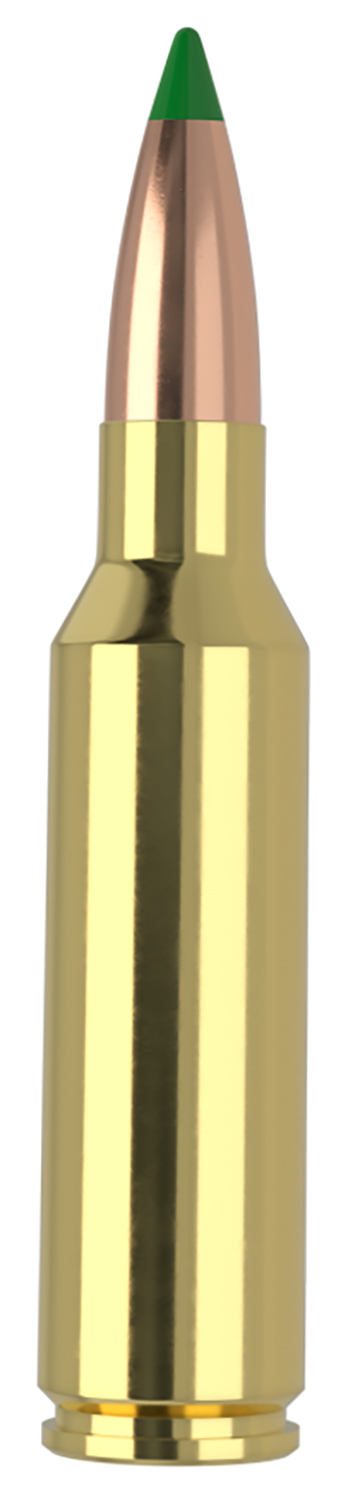 Nosler Ballistic Tip Rifle Ammunition 300 WSM 165 gr. BT SP 20 rd.