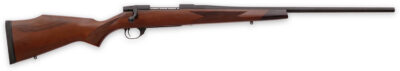 WBY VANGUARD 2 25-06 24 TB SPORTER