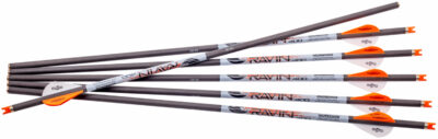 Ravin Premium Crossbow Bolts 400 gr. .001 6 pk.