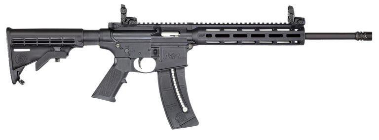 SMITH & WESSON M&P15-22 SPORT BUNDLE 22LR 16.5" 1-25RD W/ HWRD LEIGHT EAR BUDS