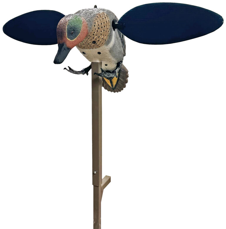 MOJO Green Wing Teal