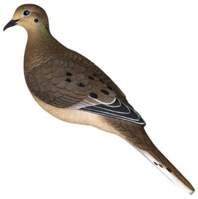 Avian X AXP Full Body Dove Decoys 6 pk.