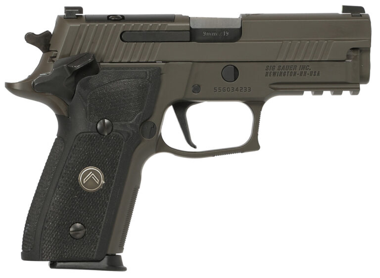 SIG SAUER LEGION 229 SAO 9MM PSTL GRY, BLK G10 GRIP, 3-10RD MAGS, OPTICS READY MASS COMPIANT