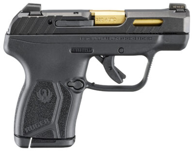 Ruger 13766 LCP Max Compact Frame 380 ACP 10+1 2.80″ Black Nitride Barrel, Black Nitride Alloy Steel Serrated Slide, Black Polymer Frame Textured Grip