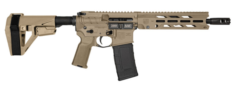 DB15 300Blk 10'' BBL 30Rd SBA5 Brace FDE Ambi Controls
