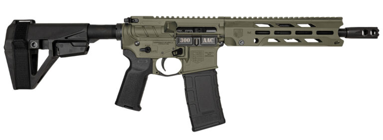 DB15 300Blk 10'' BBL 30Rd SBA5 Brace OD Grn Ambi Controls