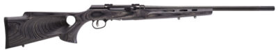 Savage Arms 47005 A17 Target Full Size 17 HMR 10+1 22″ Black Heavy Fluted Barrel, High Luster Drilled & Tapped Carbon Steel Receiver, Satin Gray Thumbhole Laminate Stock, Right Hand