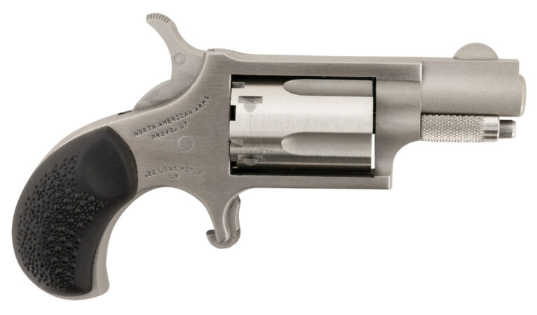 NAA 22LRGRCHS Mini-Revolver Carry Combo (Holster) 22 LR 5rd 1.13" Stainless Stee