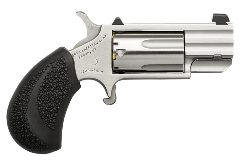 NAA PUG-D .22MAG W/XS WHITE DOT SIGHT