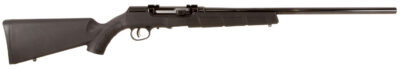 SAV A17 HVY BBL 17HMR SA 10RD