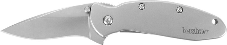 Kershaw Scallion Frame Lock Assisted Opening Knife (2.25" Bead Blast)