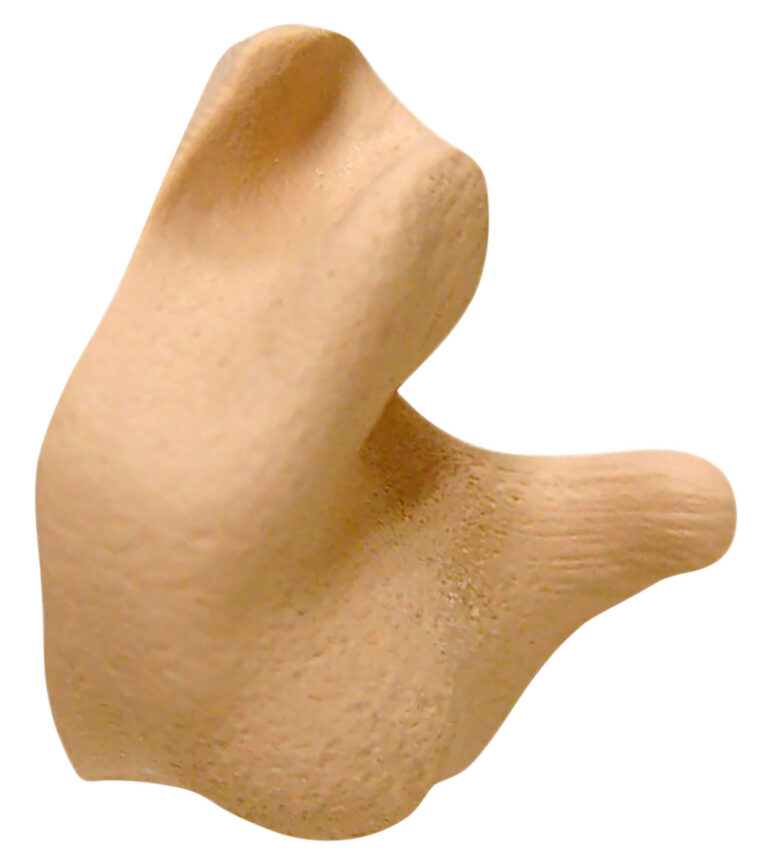 Radians Custom Molded Earplugs Retail Box Tan