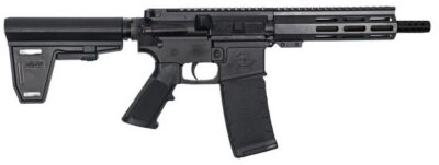 223WYLDE PSTL W/BRC 30RD BLK