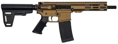 223WYLDE PSTL W/BRC 30RD BRZ