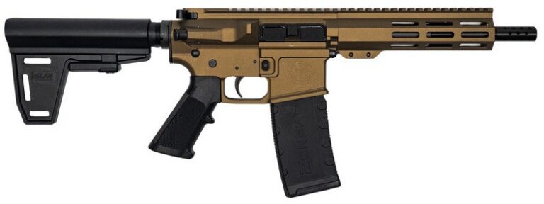 223WYLDE PSTL W/BRC 30RD BRZ