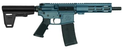 223WYLDE PSTL W/BRC 30RD BLU