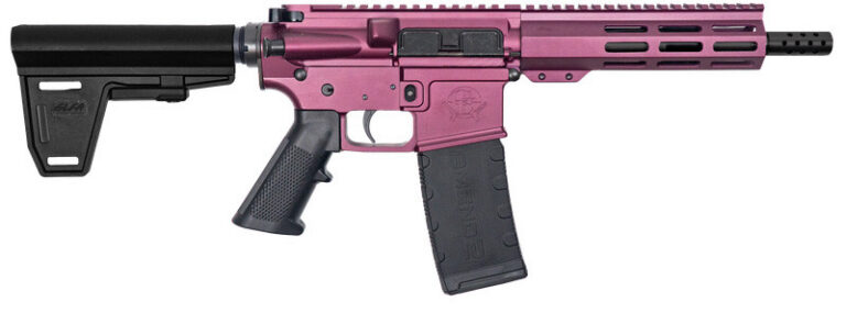 223WYLDE PSTL W/BRC 30RD CHY