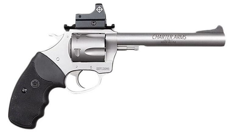 Trgt Mastiff 9MM 6in 5Rd SS
