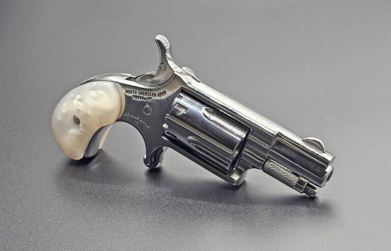 NAA THE GOOD HIGH POLISHED 22LR 5 SHOT  1 1/8 IN BARREL