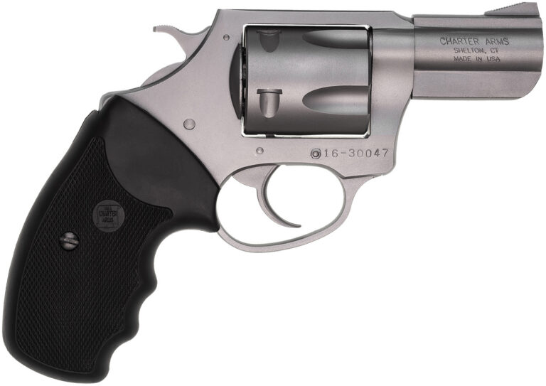 Charter Arms 74020 Pitbull  Large 40 S&W 5 Shot 2.30" Matte Stainless Steel Barrel, Cylinder & Frame w/Black Finger Grooved Rubber Grip