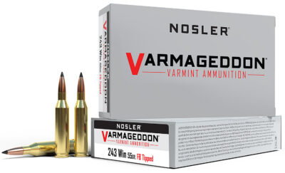 NOS AMMO 243WIN 55GR VGN FBSP 20/10