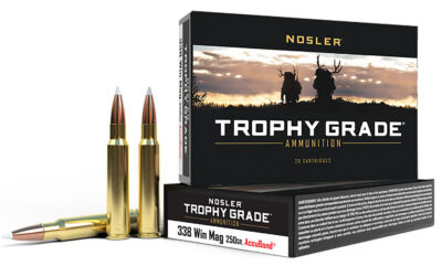 NOS AMMO 338WIN 250GR AB 20/10