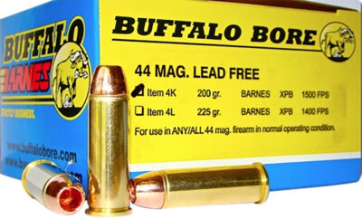 Buffalo Bore Ammunition 4K/20 Buffalo-Barnes Lead-Free 44 Rem Mag 200 gr Barnes