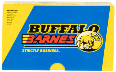Buffalo Bore Ammunition 54A/20 Buffalo-Barnes Premium 375 H&H Mag 300 gr Barnes