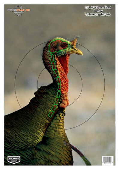Birchwood Casey 35403 Pregame  Turkey Paper Hanging Universal 12″ x 18″ Multi-Color 8 Per Pkg