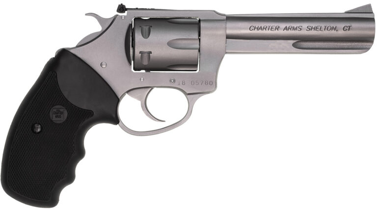 PATHFINDER LITE 22LR 6/SHOT Stainless Steel 4.2"