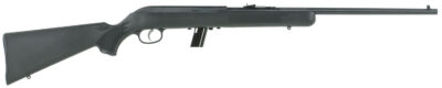 64FL S/A 22LR 20.25″ B Syn Ws-Clip LH